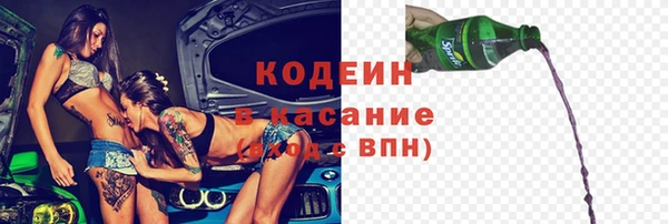 хмурый Алексин