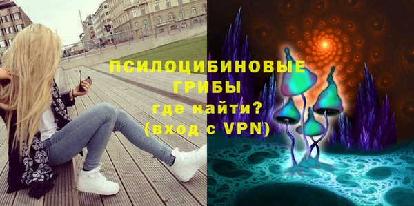 твердый Алзамай