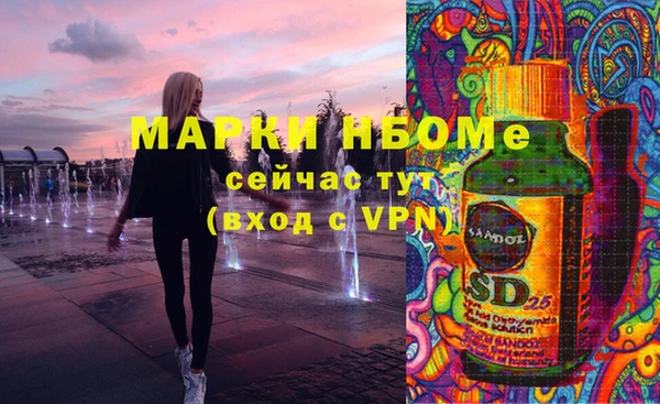 хмурый Алексин