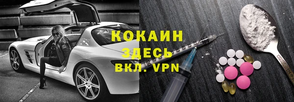 хмурый Алексин